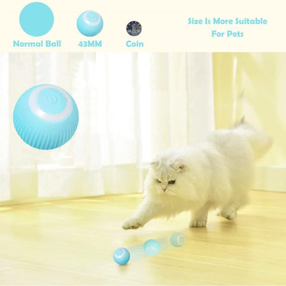Smart Interactive LED Dog Ball