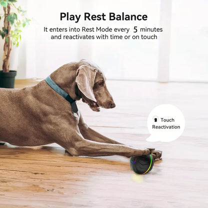 Smart Interactive LED Dog Ball