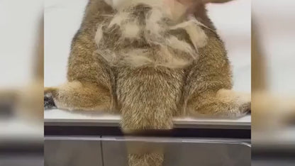 Steam Brush for Dog/Cat